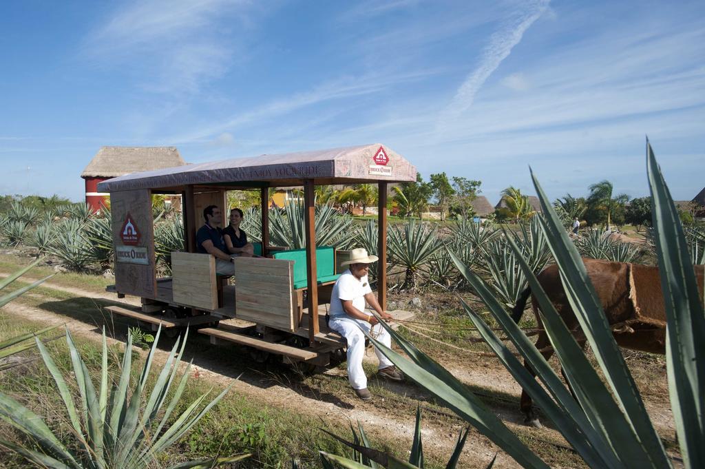 فندق Hacienda Viva Sotuta De Peon Tecoh المظهر الخارجي الصورة